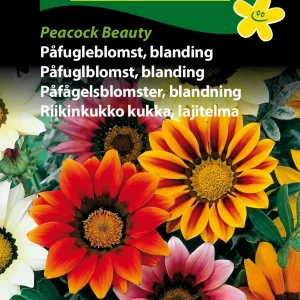Påfugleblomst, bl., Peacock Beauty (C) 1839