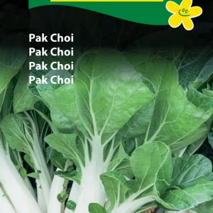 Pak Choi (D) 1413