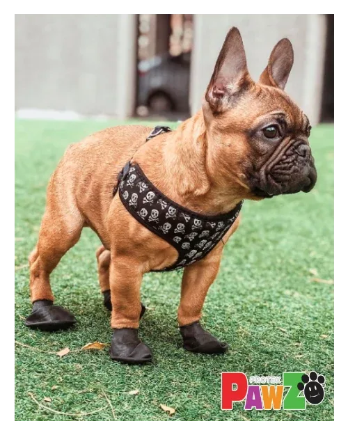 Pawz Hundesko, Camo - Image 2