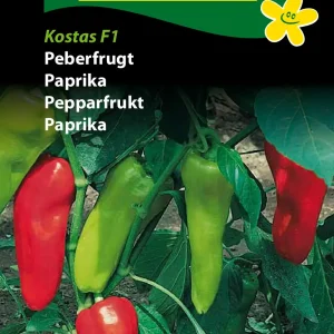 Peberfrugt, Kostas F1 (F) 1289