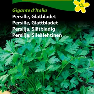 Persille, Glatbl., Gigante d’Italia (D) 1116