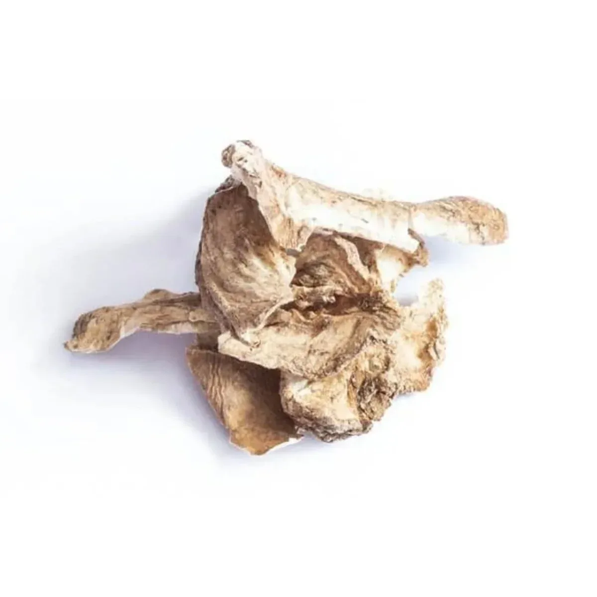 PetDK Cikorierødder 120g – Naturligt tyggeprodukt til gnavere