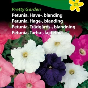 Petunia, Have-, bla, Pretty Garden (C) 1837