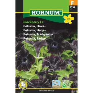 Petunia, Have-, Blackberry F1 (F) 2158