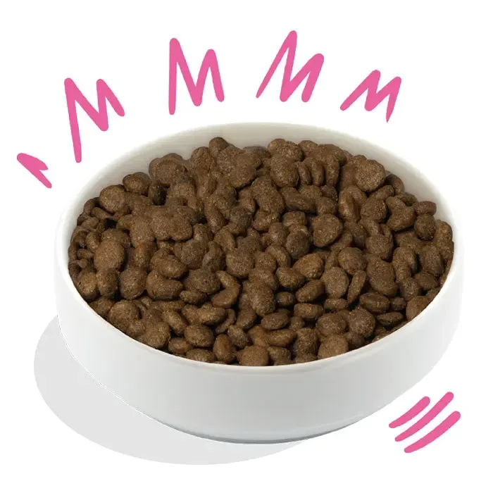 Plante baseret tørfoder græskar/rødbede 2,5kg - Image 2