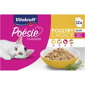 Poésie Classique, gelé