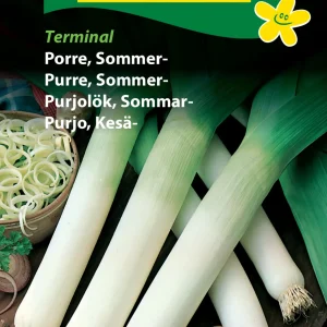 Porre, Sommer-, Terminal (C) 1290