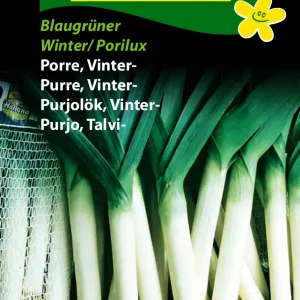 Porre, Vinter-, Blaugrüner (D) 1291