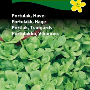 Portulak, Have- (D) 1138
