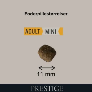Prestige Adult Mini