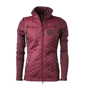 Pro Shirt Hundeluftertrøje Casey XL Burgundy (bordeaux)