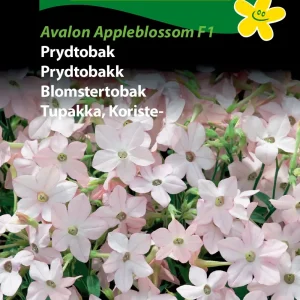 Prydtobak, Avalon Appleblossom F1 (D) 1838