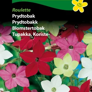 Prydtobak, Roulette (C) 1853