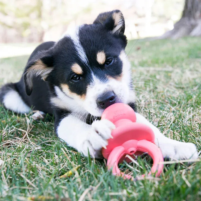 Puppy Binkie - Image 2