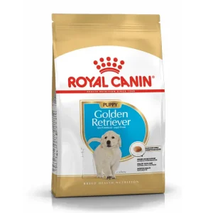 Puppy Golden Retriever 12 kg