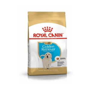 Puppy Golden Retriever 3 kg