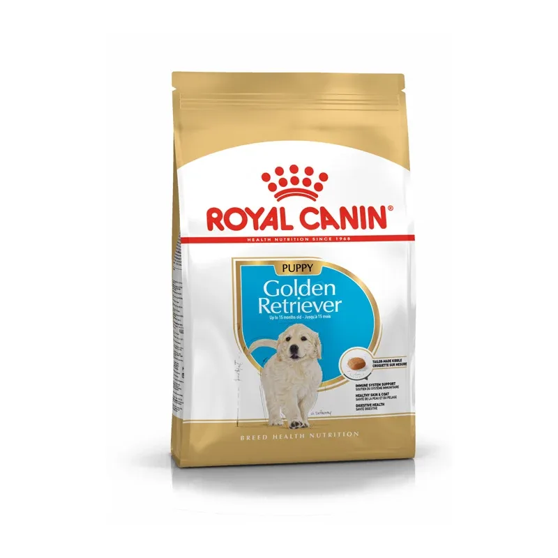 Puppy Golden Retriever 3 kg