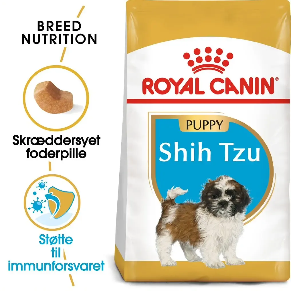 Puppy Shih Tzu 1,5 kg - Image 2