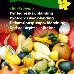 Pyntegræskar, blanding, Thanksgiving (D) 1733