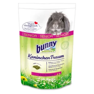 RabbitDream senior