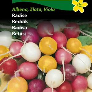 Radise, Albena, Zlata, Viola, såbånd (E) 1295