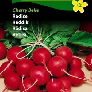 Radise, Cherry Belle (B) 1293