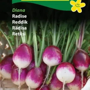 Radise, Diana (C) 1416