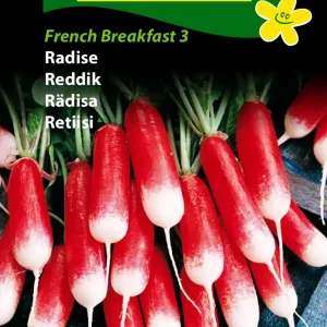 Radise, French Breakfast 3 (B) 1292
