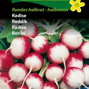 Radise, Rundes halbrot-halbweiss (B) 1294