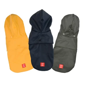 Rainy Coat