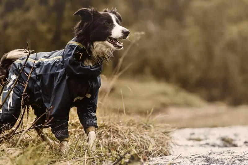 Regndækken med ben til hunde, Hurtta - Outdoor Slush Combat Suit - Image 2