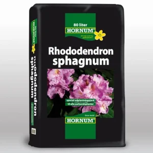 Rhododendron sphagnum 80 L