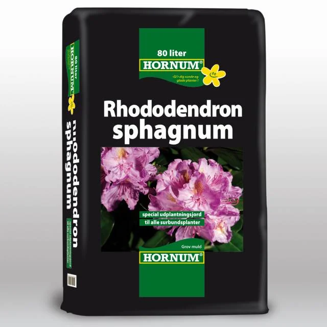 Rhododendron sphagnum 80 L