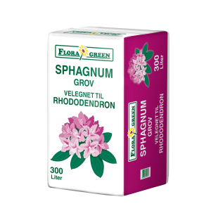 Rhododendron sphagnum, grov – 300 ltr.