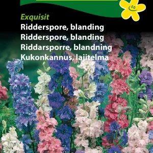 Ridderspore, blanding, Exquisit (A) 1737