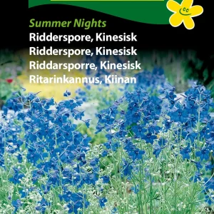 Ridderspore, Kinesisk (D) 1779