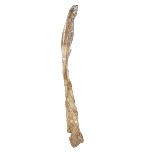 RigtigHundemad Oksehud, tørret – 70cm+