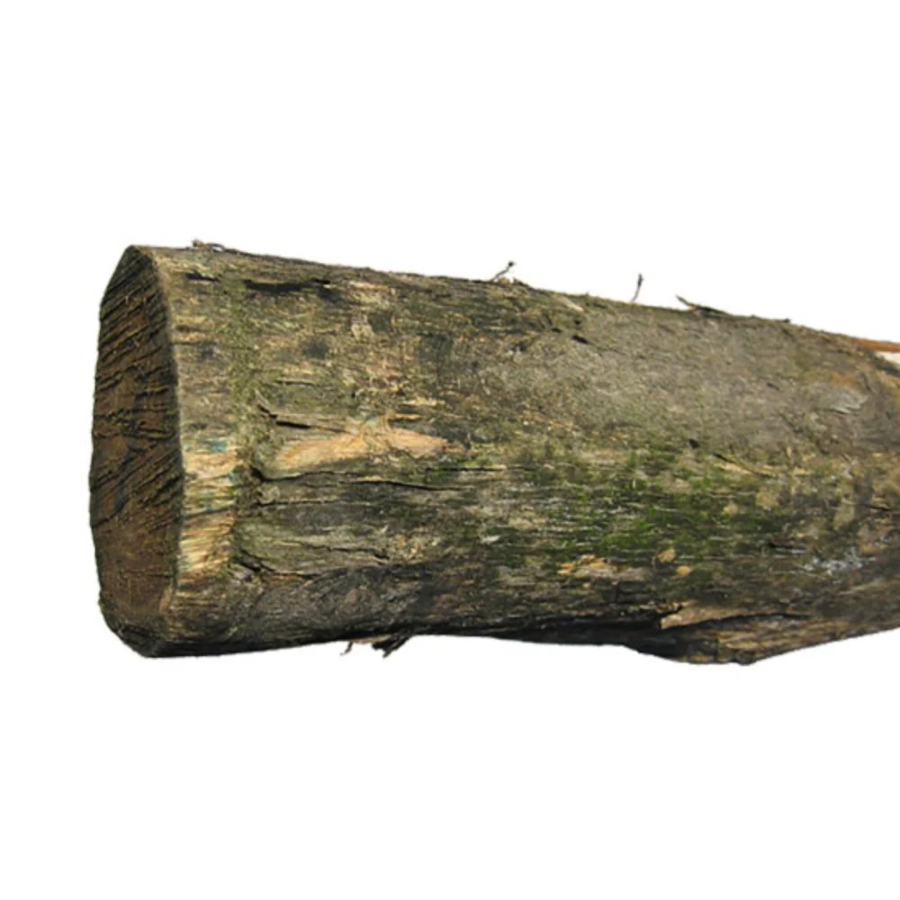 Robiniepæle Ø6/8×180 cm 100 stk LEVERET - Image 2