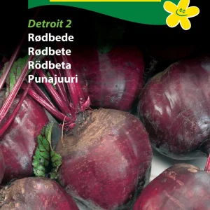 Rødbede, Detroit 2 (D) 1394