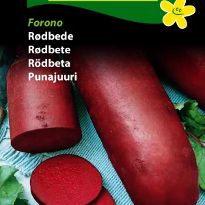 Rødbede, Forono (D) 1297