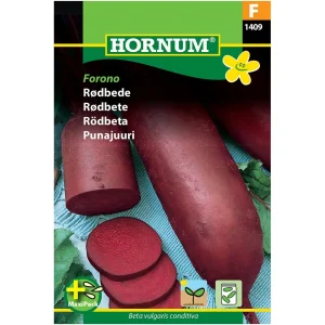 Rødbede, Forono (F) 1409
