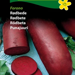 Rødbede, Forono, såbånd (E) 1369