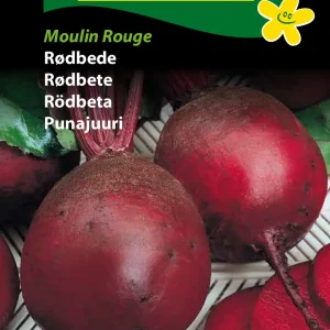 Rødbede, Moulin Rouge (D) 1298