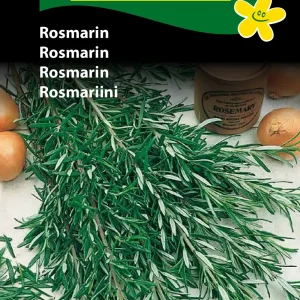 Rosmarin (C) 1123