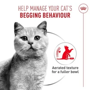 Royal Canin Appetite Control Care AirLift Mousse