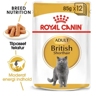 Royal Canin British Shorthair Adult vådfoder til katte (i sauce)