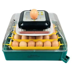 Rugemaskine Ryom Auto-Vending 24 æg