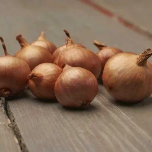 Sætteløg Skalotte 250 g