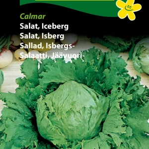 Salat, Iceberg, Calmar (D) 1313