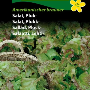 Salat, Pluk-, Amerikanischer brauner (B) 1316
